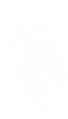 US Polo